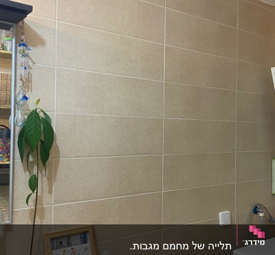 חדר כביסה עם מכונת כביסה, מדף עם כלים וחומרי ניקוי